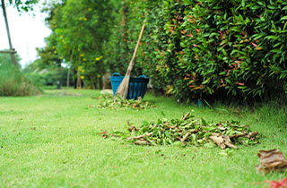 Artificial-grass-system