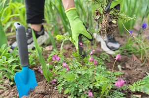 cta-lc-landscaping